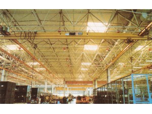 可以設(shè)計(jì)環(huán)行吊、手動(dòng)單梁